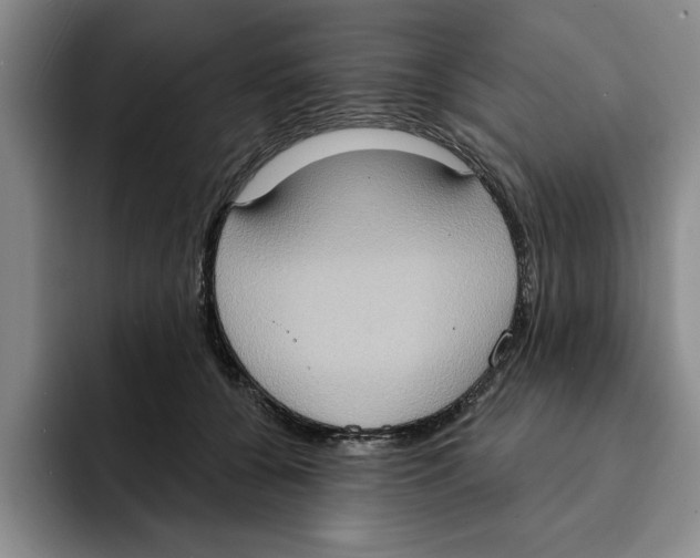 X0000091640560200709201110