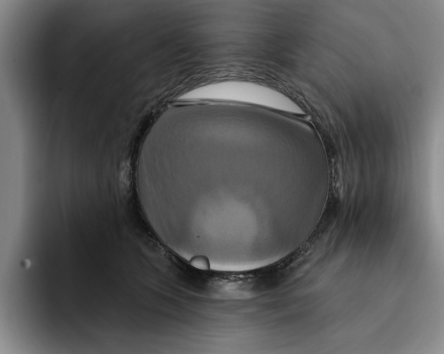 X0000091640563200709201110