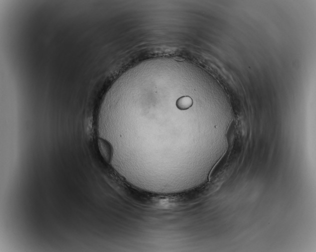 X0000091640564200709201110