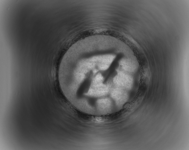 X0000091640565200709201110