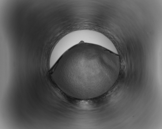 X0000091640566200709201110