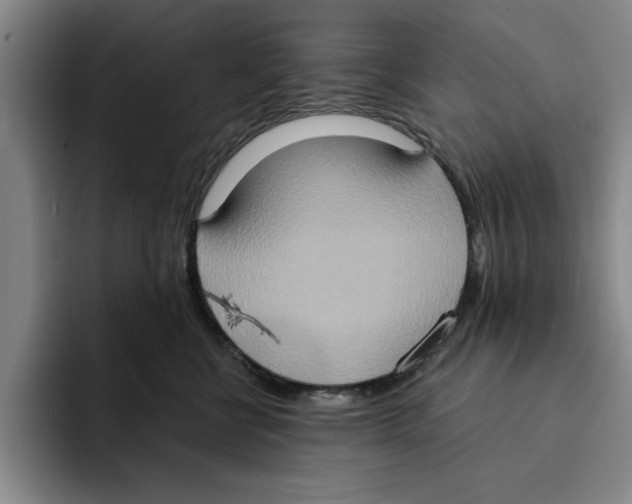 X0000091640570200709201110