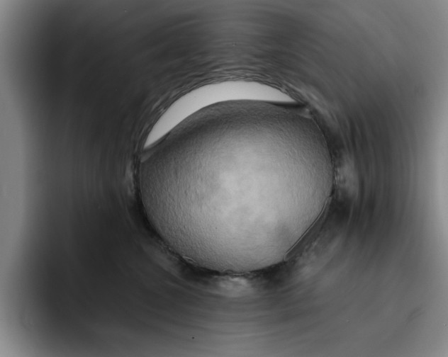 X0000091640572200709201110