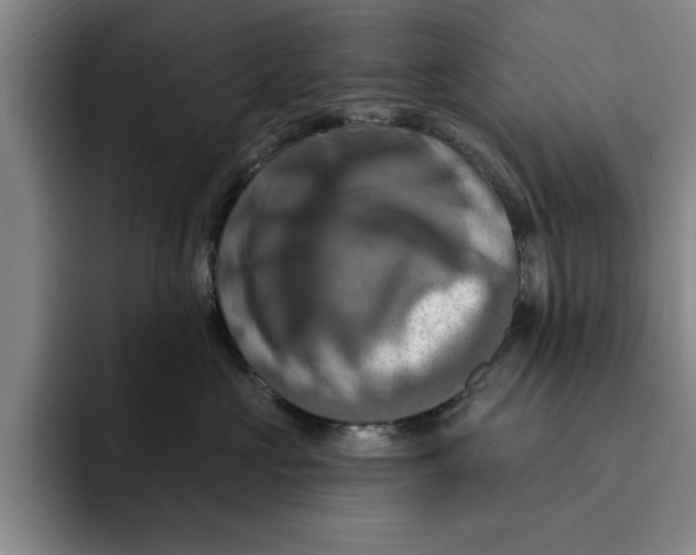 X0000091640573200709201110