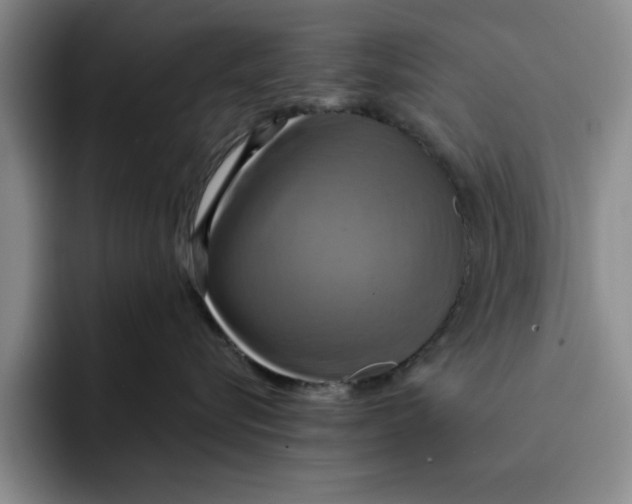 X0000091640576200709201110