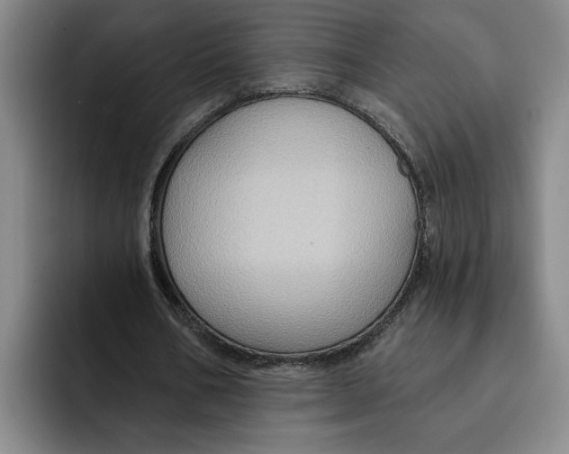 X0000091640578200709201110