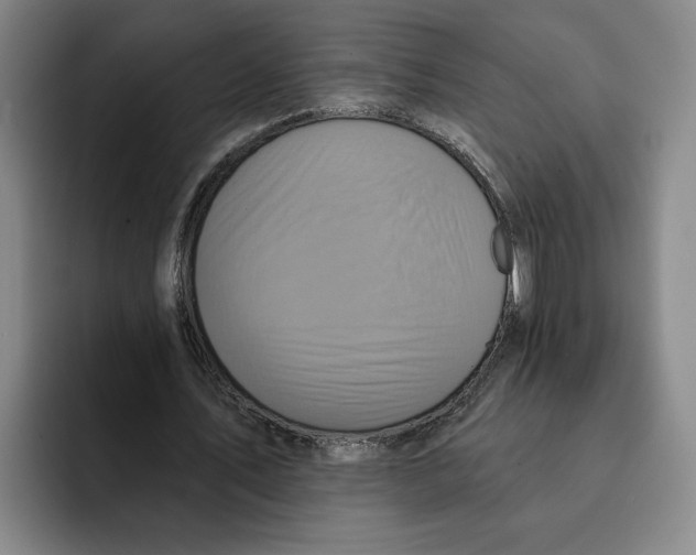 X0000091640579200709201110