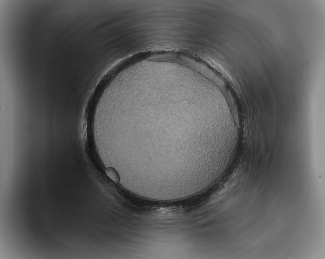 X0000091640584200709201110