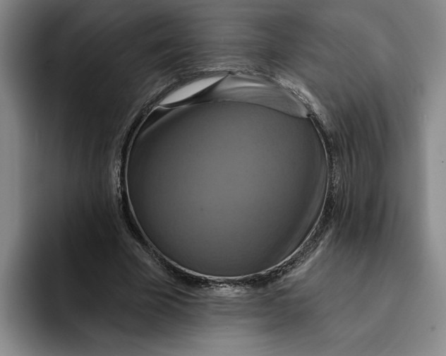 X0000091640585200709201110