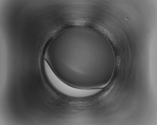 X0000091640589200709201110