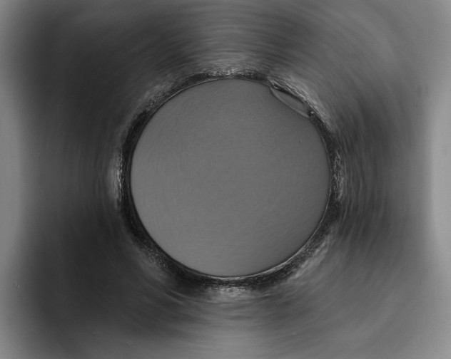 X0000091640590200709201110