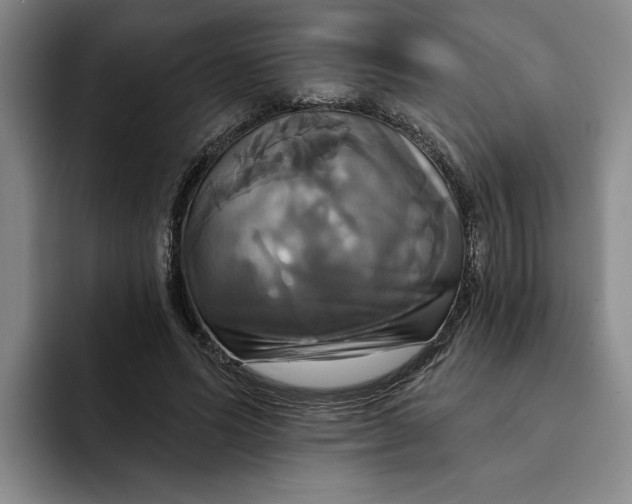 X0000091640591200709201110