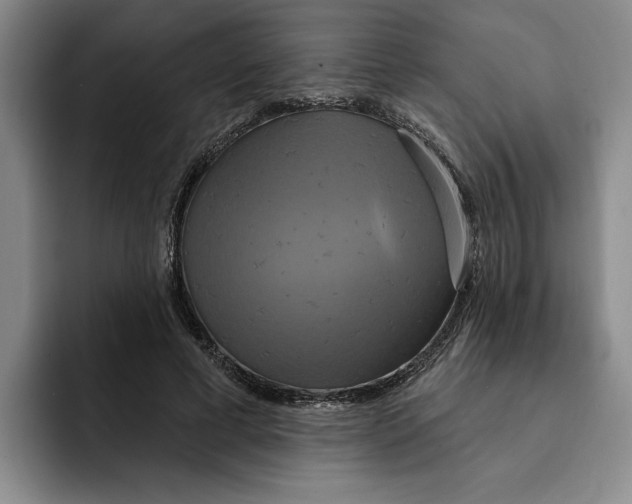 X0000091640593200709201109