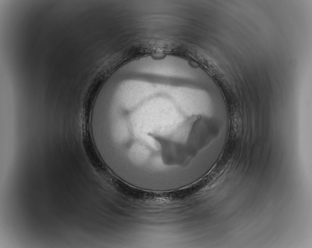 X0000091640594200709201109