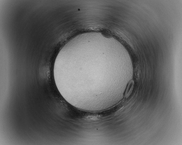 X0000091640595200709201109