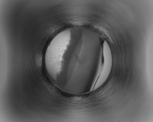 X0000091640596200709201109