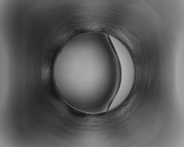 X0000091640597200709201109