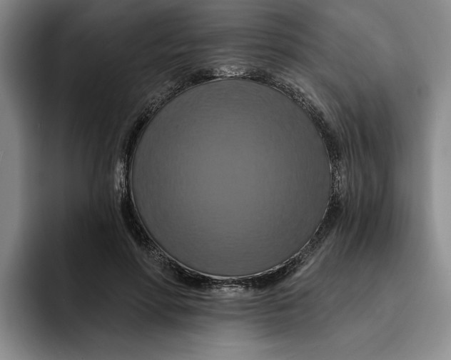 X0000091640598200709201109