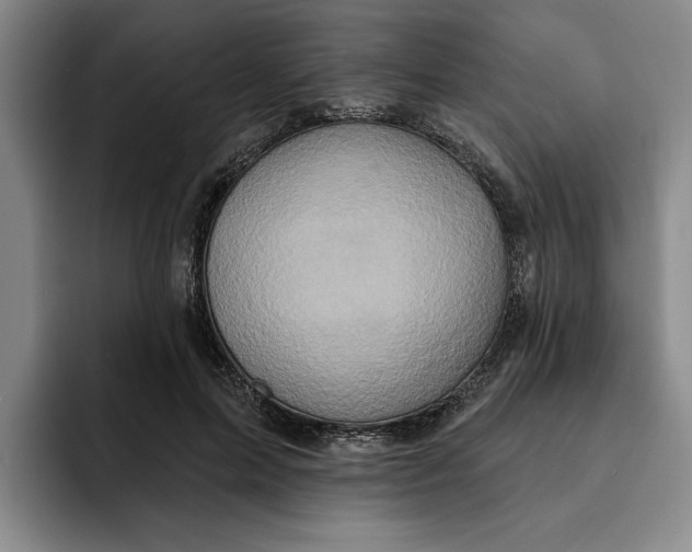 X0000091640599200709201109