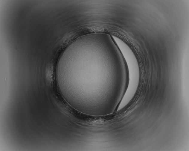 X0000091640600200709201109