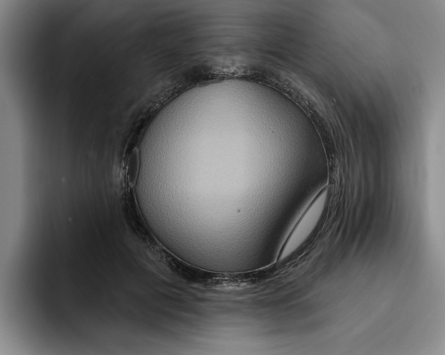 X0000091640601200709201109