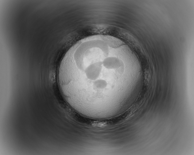 X0000091640602200709201109