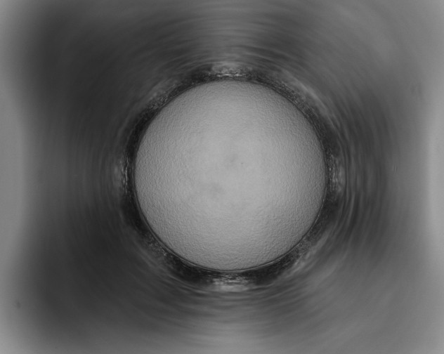 X0000091640603200709201109