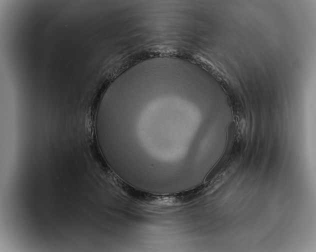 X0000091640609200709201109