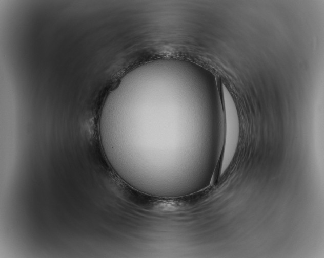 X0000091640611200709201109