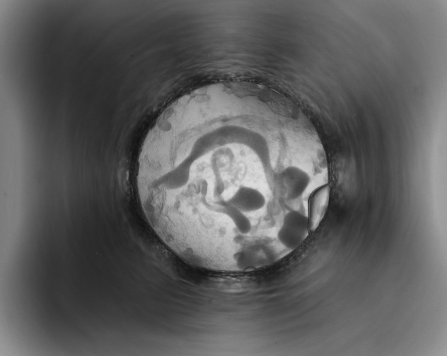 X0000091640615200709201109