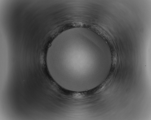 X0000091640616200709201109