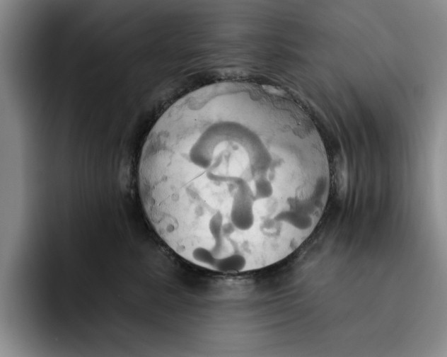 X0000091640619200709201109