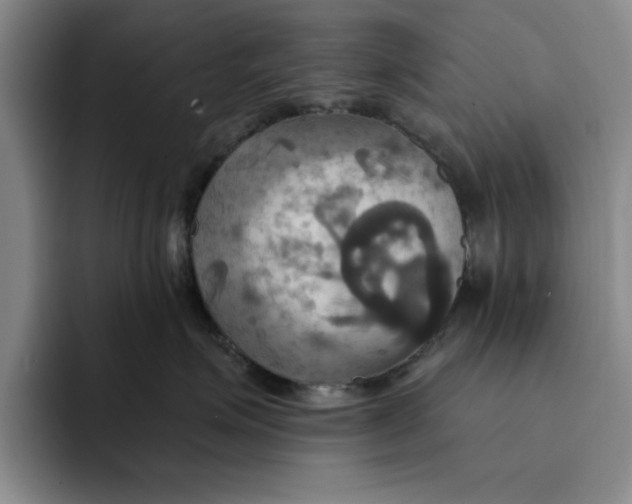 X0000091640623200709201109