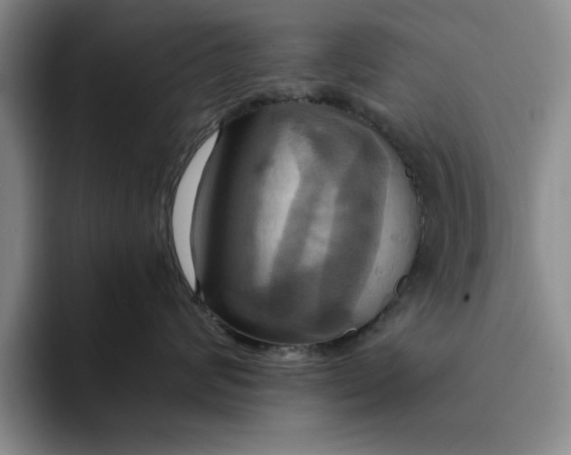 X0000091640624200709201109