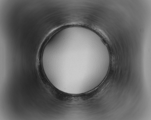 X0000091640628200709201108