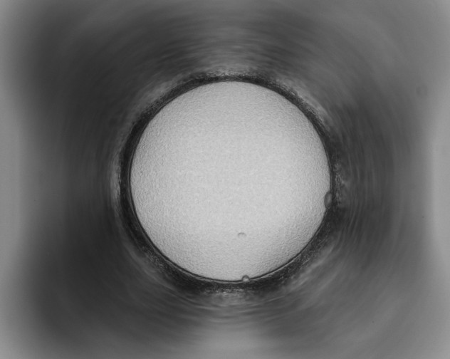 X0000091640631200709201108