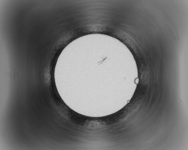 X0000091640635200709201109