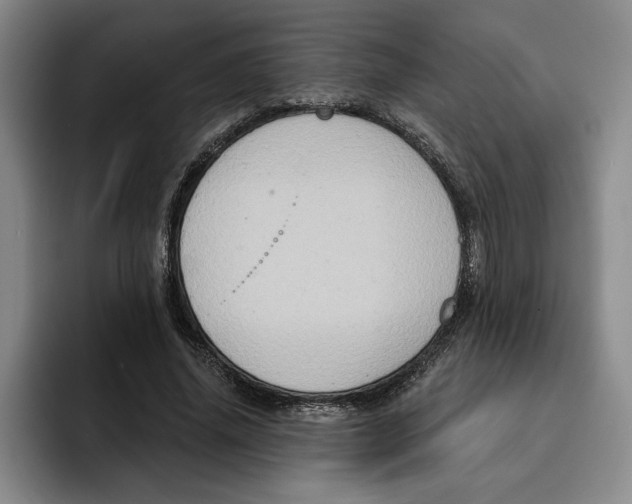 X0000091640636200709201109