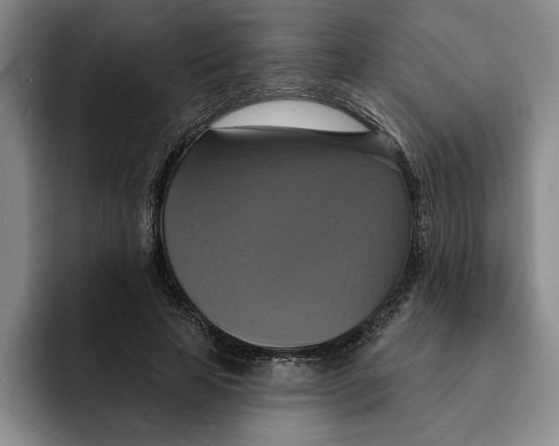 X0000091640641200709201109