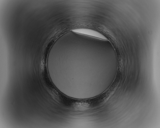 X0000091640644200709201109