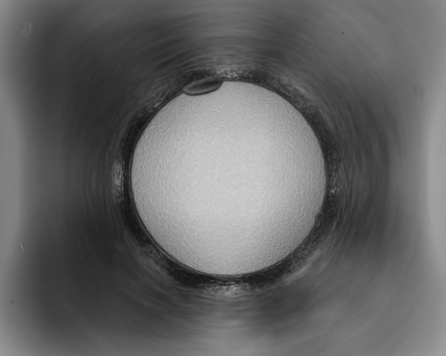 X0000091640646200709201109