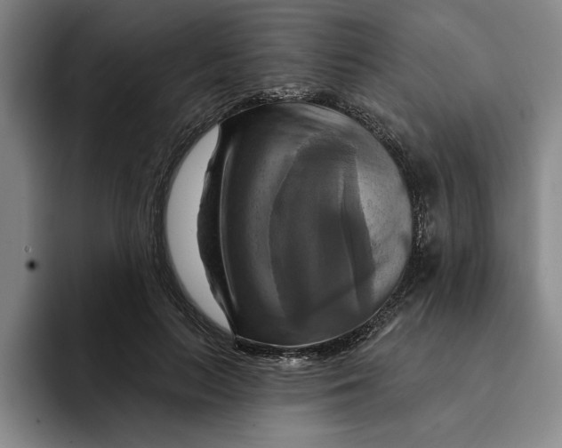 X0000091640647200709201109