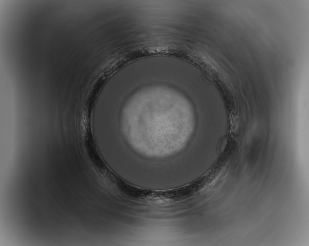 X0000091640648200709201109