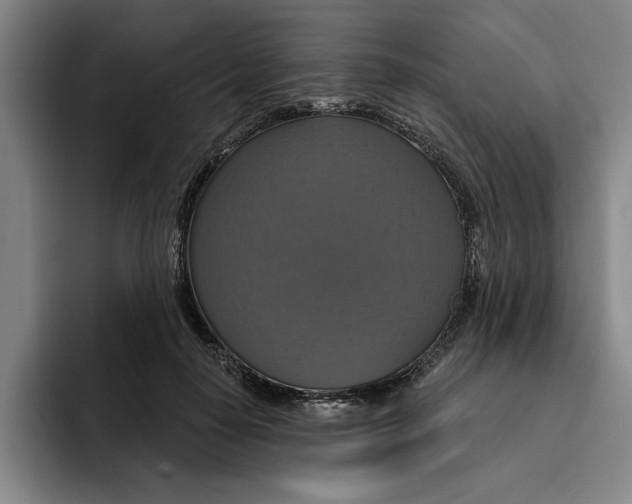 X0000091640650200709201109