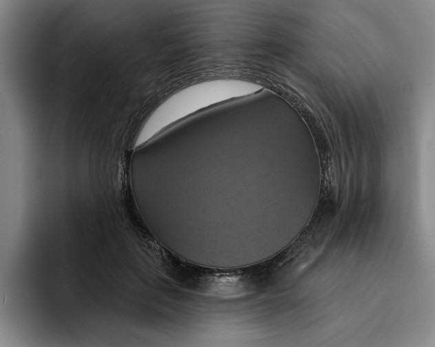 X0000091640651200709201109
