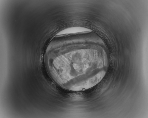 X0000091640652200709201109