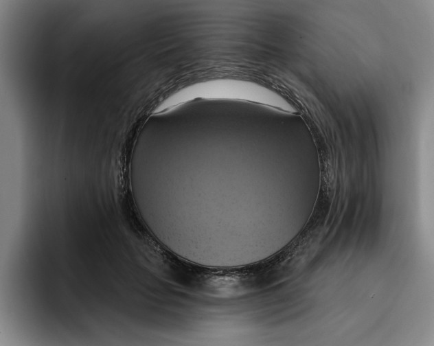 X0000091640653200709201109