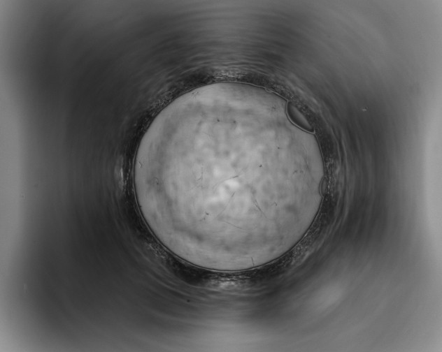 X0000091640655200709201109