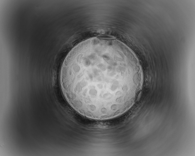 X0000091640656200709201109
