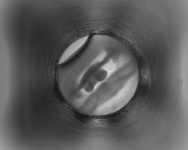 X0000091640657200709201109